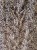 IMG_3008.jpeg